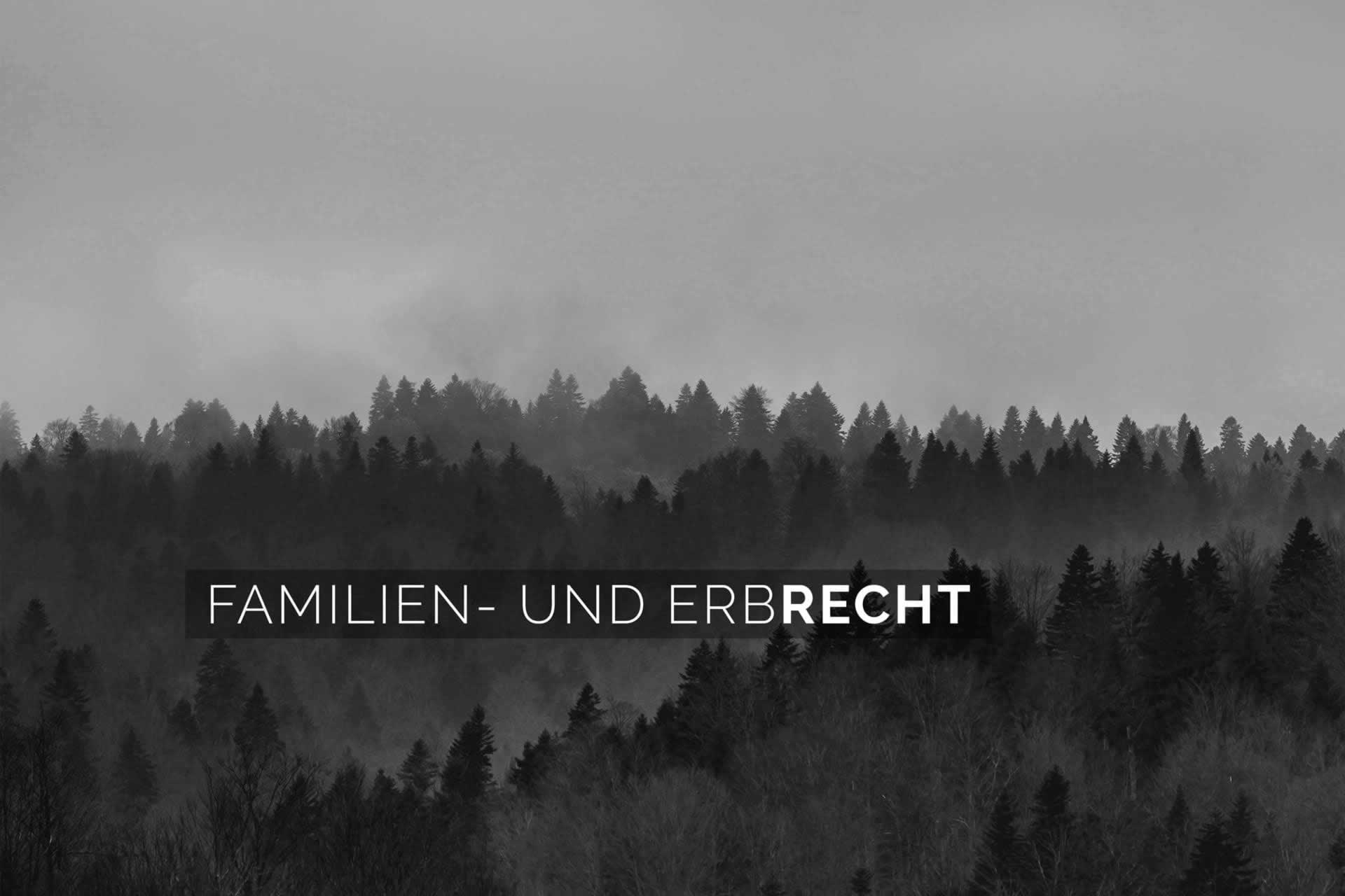 Geissmann Rechtsanwälte AG in Baden und Zürich, Frontbild Familien- und Erbrecht